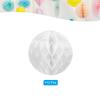 10pcs Tissue Paper Pom Poms Flower Balls Party Hanging Paper Flower Balls Decoration for Birthday Wedding Home Backdrop Decor