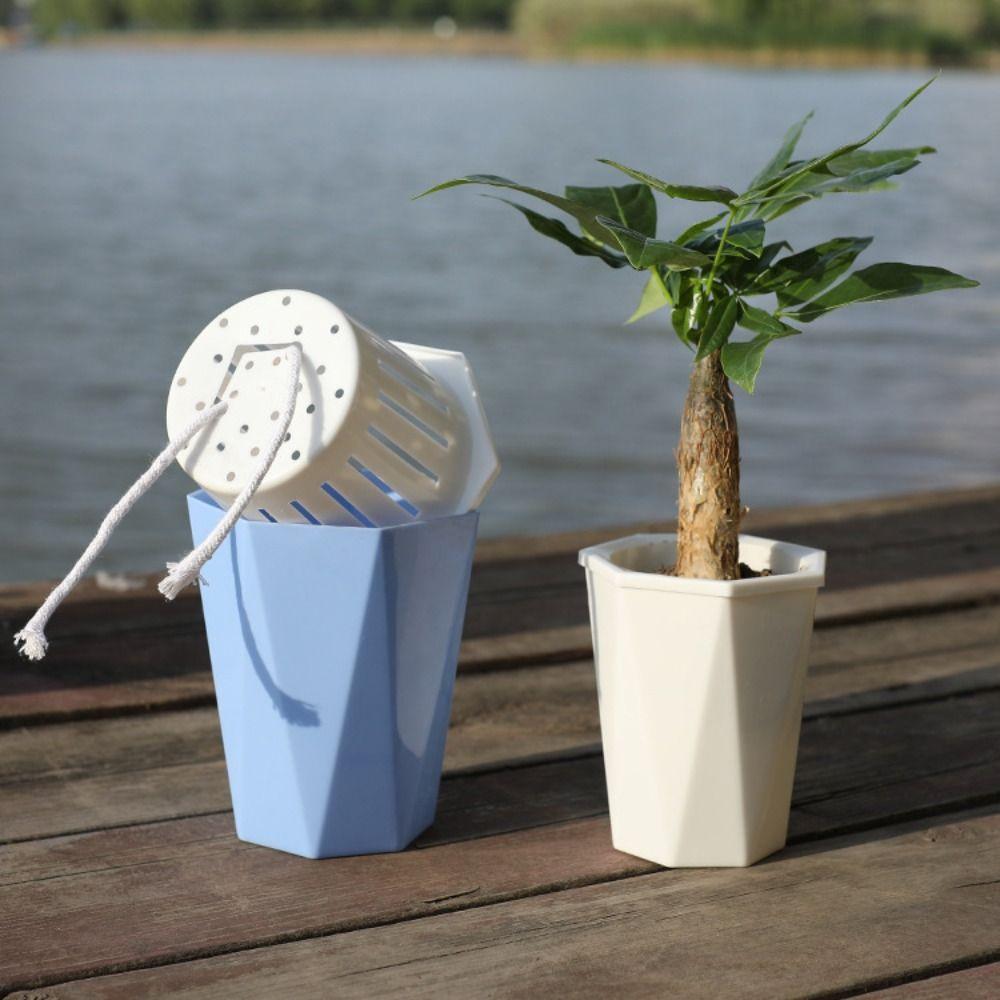 with Clear Saucer Reservoir Plant Pot with Drainage Hole Desktop Plants Pot