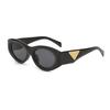 1pc European American Cat Eye Oval Sunglasses Women High-end Fashion Street Photography Accessory