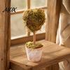 Office Desk Plant Ornament Mini Christmas Tree Potted Decor, Artificial Moss Tabletop Planter for Holiday Home, Festive Centerpiece Shelf Unique