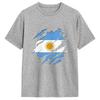 Argentina Flag T Shirts Unisex 100 Cotton Cool Tshirt O Neck Tees Short Sleeve Clothes Printed