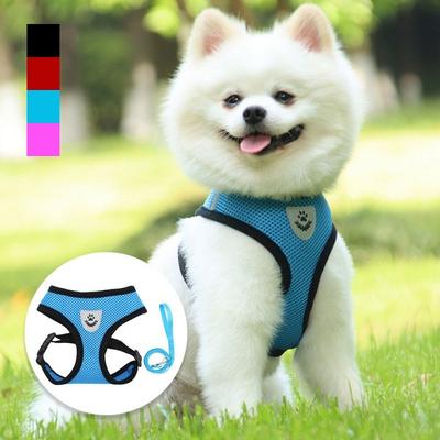 Daily Public Walking Vest Dog Harness Leash Included, Blue