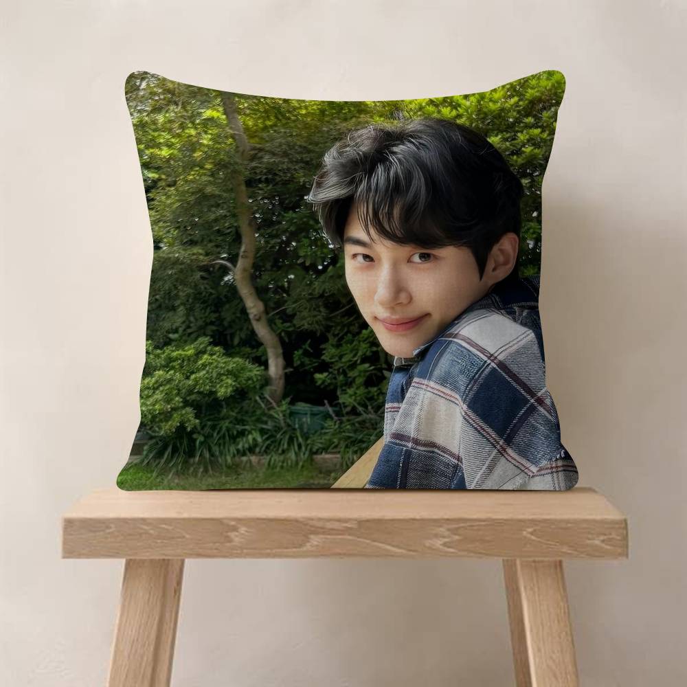 Korean Celebrity Byeon Wooseok   Cushion Cover Decorative Pillow Sofa Home Decor case pillow cases