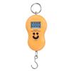 Digital Hanging Fishing Scale 50kg 10g High Accuracy Mini Pocket Weight Scale for Kitchen Travel Fishing Daily Use