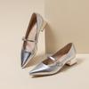 Silver Mary Jane Single Shoes Spring and Summer 2025 New Pointed Low Thick Heel Women's High-end Sense One-word Shoes