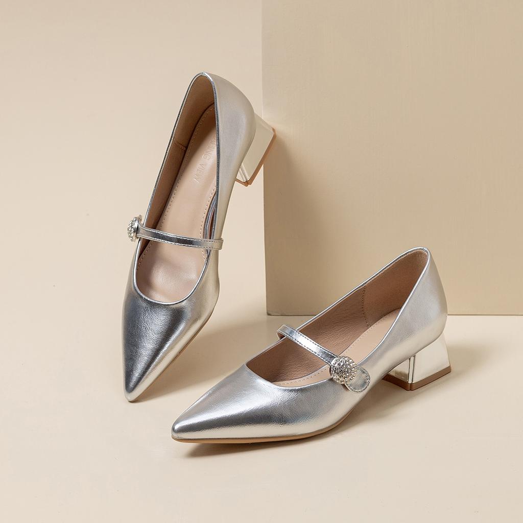 Silver Mary Jane Single Shoes Spring and Summer 2025 New Pointed Low Thick Heel Women's High-end Sense One-word Shoes