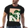 Monstera Deliciosa Variegata Illustration TShirt Fashion Simple Casual Tee Shirt