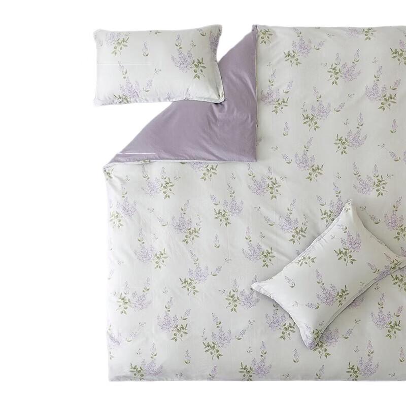 Aimiejia Premium Four-Piece Quilt Set