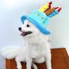 Hut für Haustiere, Hundeköpfe, Kopfschmuck für Katzen, Katzenhüte, Geburtstagshüte für Haustiere, Dekorationen, Geburtstagsoutfits für Hunde