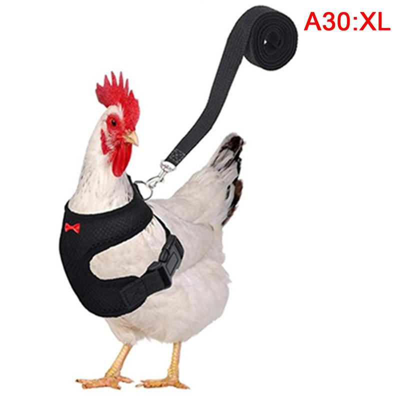 

Куриный жилет, пояс для курицы, шлейка для домашних животных, одинаковые ошейники с бантом, удобные поводки XL чёрный