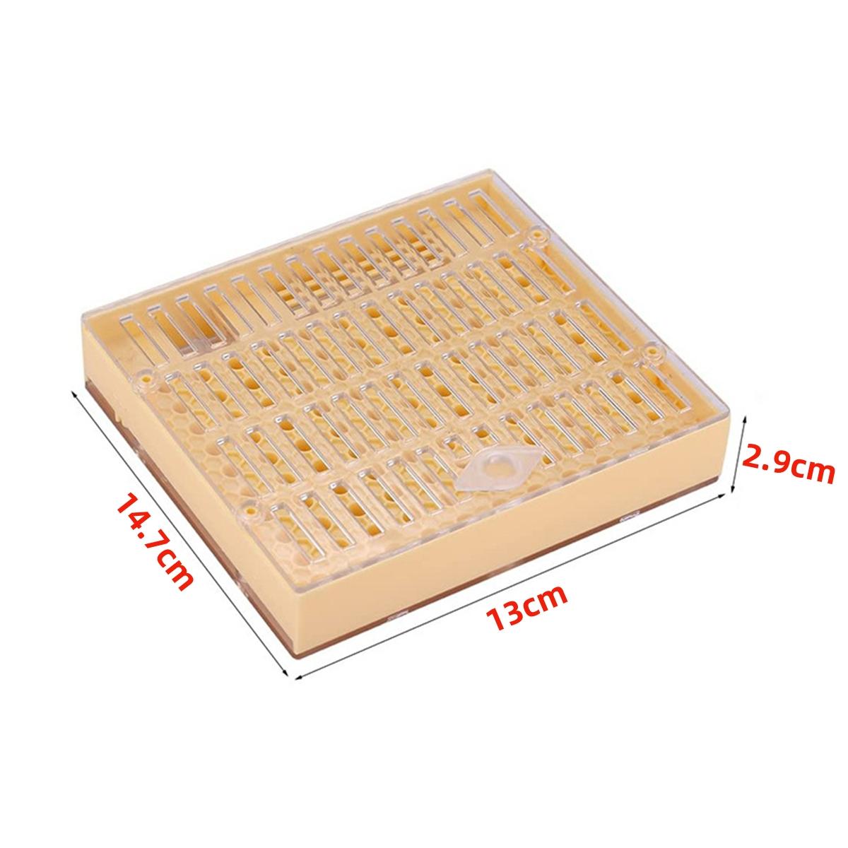 Queen Bee Queen Rearing Cultivating Box Kit 120Pcs Brown Raising Cups 1Pc Plastic Protection Cover Rearing Box Bee Hive Fittings