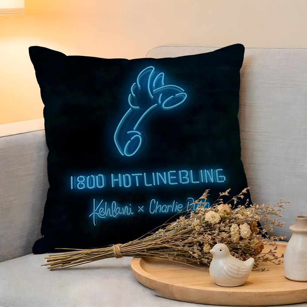 

Cushion Cover Linen SkinFriendly Soft Decorative Case for Sofa Home Decor Charlie Puth Pillow cover 30x30cm