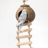 Coconut Bird Nest Hut With Ladder Hanging,Hanging Coconut Bird House Parrot Hideout Bird Cage For Lovebird Pigeons Pet Supplies