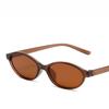 Vintage Oval Frame Goggles for Women Retro Small Frame Ellipse Goggles Cool Sunglasses Designer Circular Sun Eyeglasses