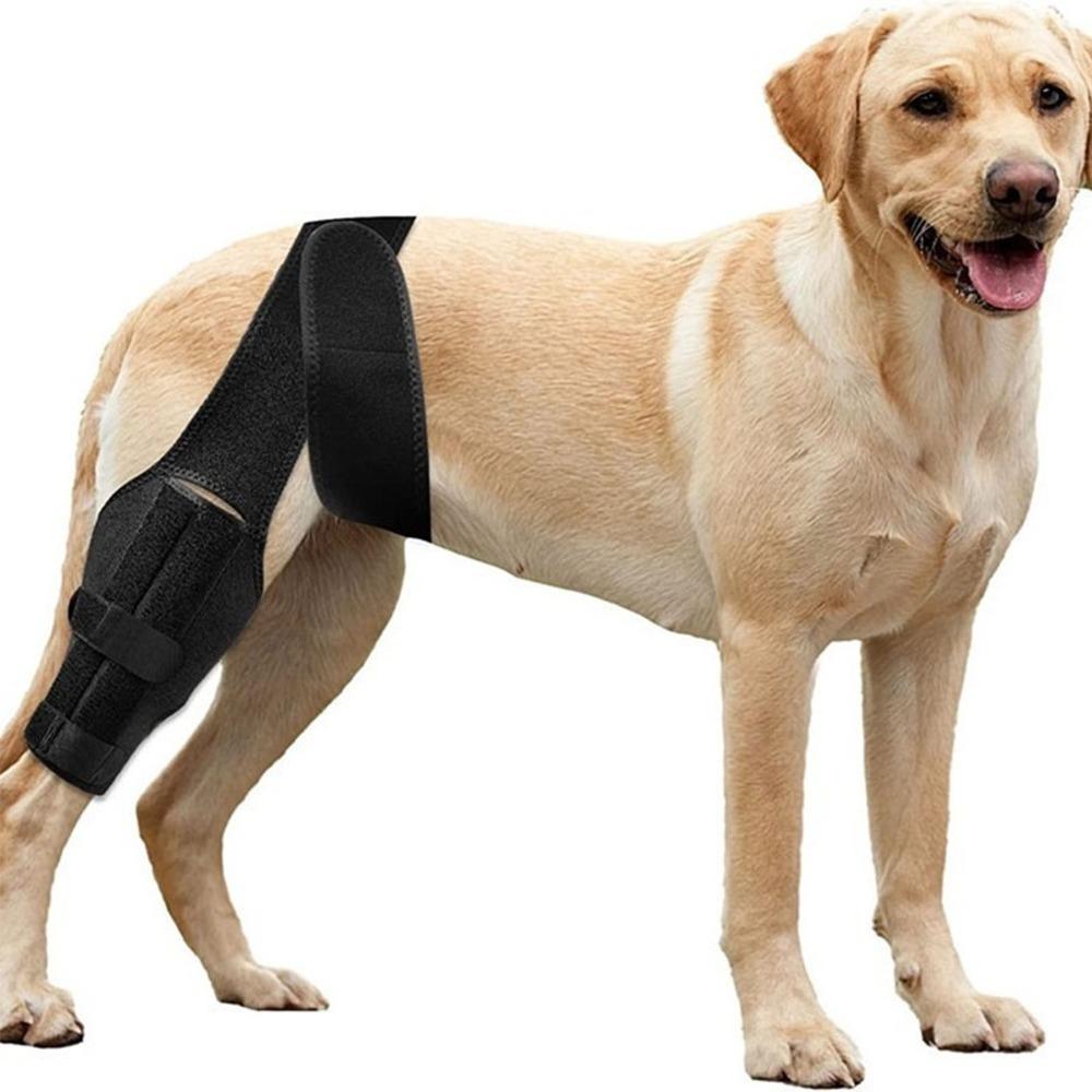Flexible Dog Knee Brace Breathable Pet Recovery Bandage Pet Leg Support Leg Injury Care