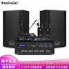 KAXISAIER Professional Conference Audio System with Wireless Microphones CN Plug (adapter Included)
