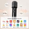 Divoom SongBird-SE Altoparlante Bluetooth Karaoke da Casa e Set Microfono Spina CN (adattatore incluso) (Versione NC)
