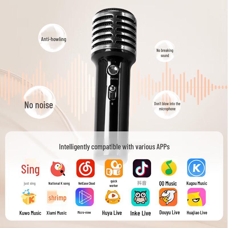 Divoom SongBird-SE Altoparlante Bluetooth Karaoke da Casa e Set Microfono Spina CN (adattatore incluso) (Versione NC)