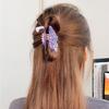 Stylish Dinosaur Hair Clip Acrylic Hairpin Hair Decoration Headpieces Hair Ornament For Parties Weddings Everyday Wear
