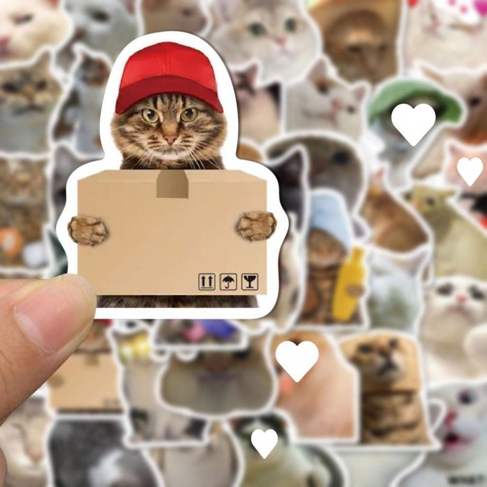 50PCS Cute Meme Cat Stickers Paper Animal Stickers Waterproof Kitty Stickers DIY