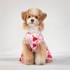 Valentine's Day Puppy Dog Cat Dress Lovely Female Pet Weeding Dresses for Small Dogs Pomeranian Schnauzer Skirt Mascotas Clothes