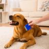 4pcs/set Effective 4pcs/set Pet Flea Comb Inline Comb Durable Float Hair Remover Dense Teeth Dog Hair Brush for Pet Cleaning