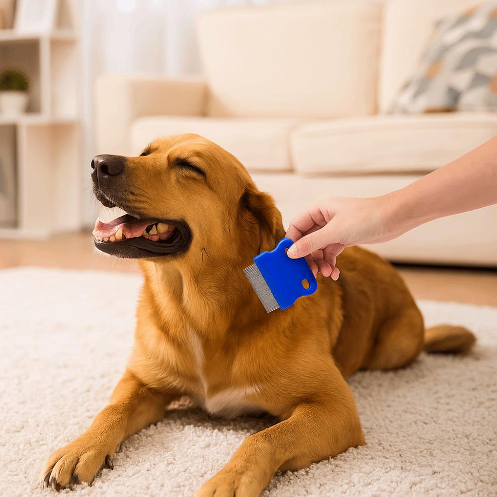 4pcs/set Effective 4pcs/set Pet Flea Comb Inline Comb Durable Float Hair Remover Dense Teeth Dog Hair Brush for Pet Cleaning