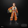 Hasbro Star Wars Black Series Admiral Warde Action Figure 15 cm The Mandalorian Grogu Premium Collection G2574 Authentic Product