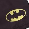 Batman Childrens/Kids Polyester Swim Shorts