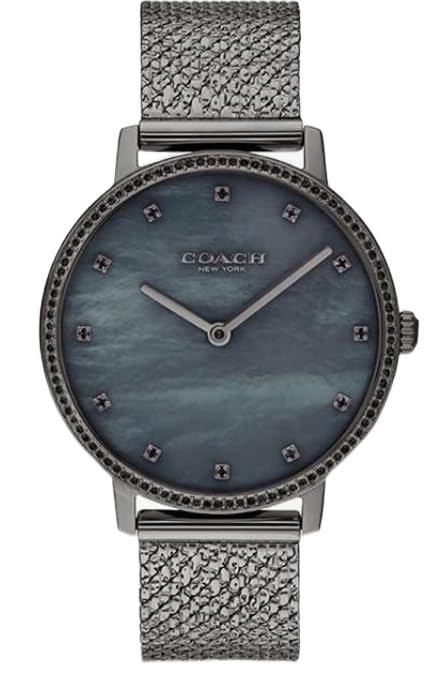 

Casual Watch Audrey 14503829 Gray [Coach] Women s [Item]