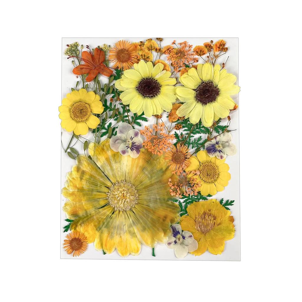 25PCS Dried Flowers Set for DIY Resin Pendant Making Filling Pressed Real Natural Flowers Leaves for Bookmark Phose Case Making