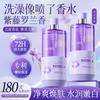 Huige Long-Lasting Perfume Shower Gel