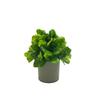 Green Artificial Plant Bonsai Grey Flowerpot Grass Leaves Simulation Plant Flowerpotted Craft Photo Props Faux Potted Decoration
