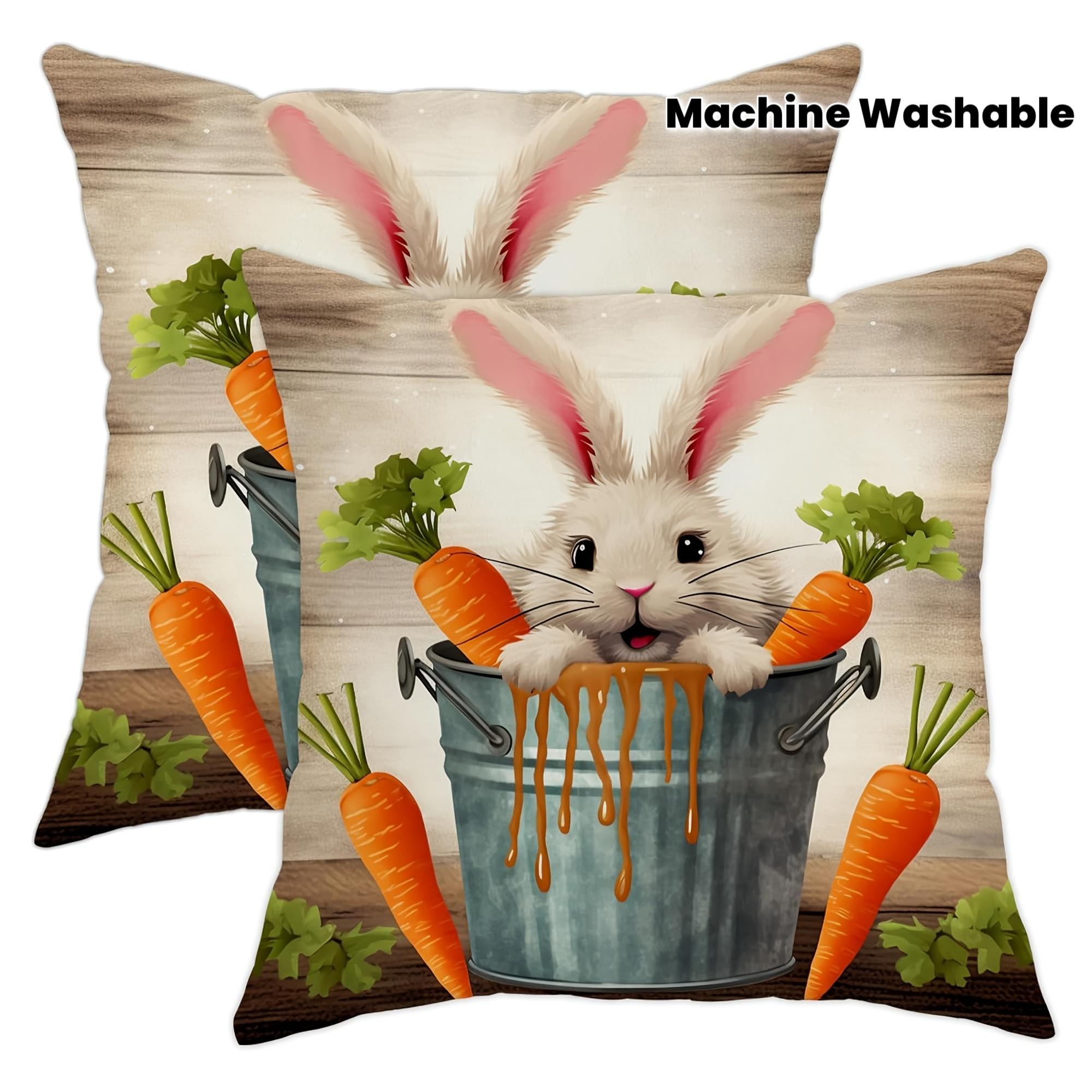 Набор из 2 наволочек с рисунком Пасхального кролика и морковки, современный стиль, можно стирать в машине 40x40cm/16x16inch