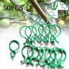 50Pcs -Stem Vine Strapping Clips Garden Plant Bundled Buckle Ring Tool