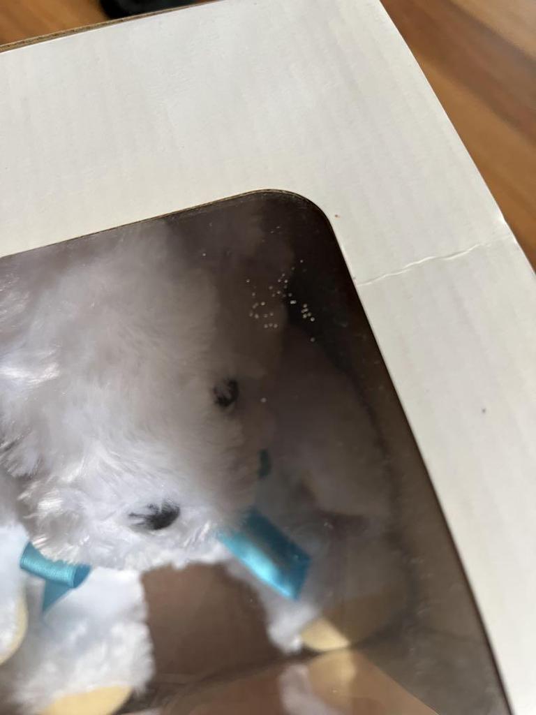 [USED] Not for Sale: Volkswagen Original Teddy Bear 2018 VW