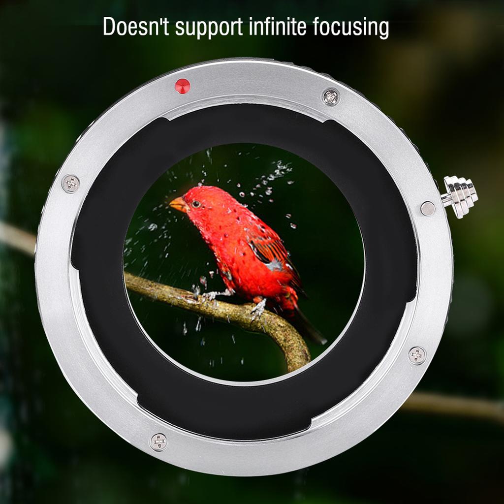 EOS M42 Lens Adapter Ring for Canon Ef EF S Mount Lens for M42 Mount Camera