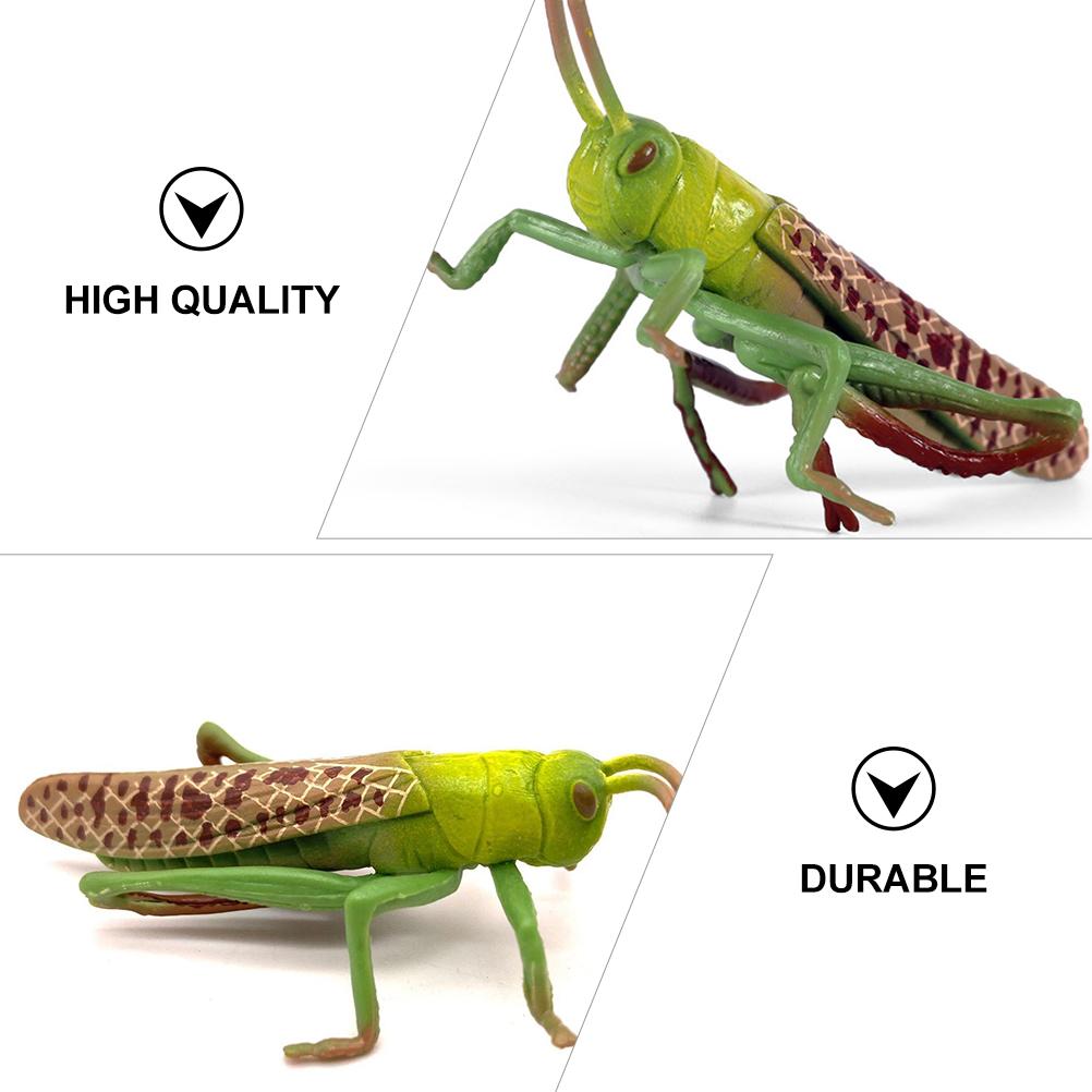 Model Locust Animal Toddler Christmas Decorations Ornaments Plastic Kid Cognitive Toy