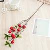 Branch Fruit Hawthorn Hotel Landing Flower Arrangement Decoration Photography