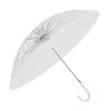 Transparent Umbrella
