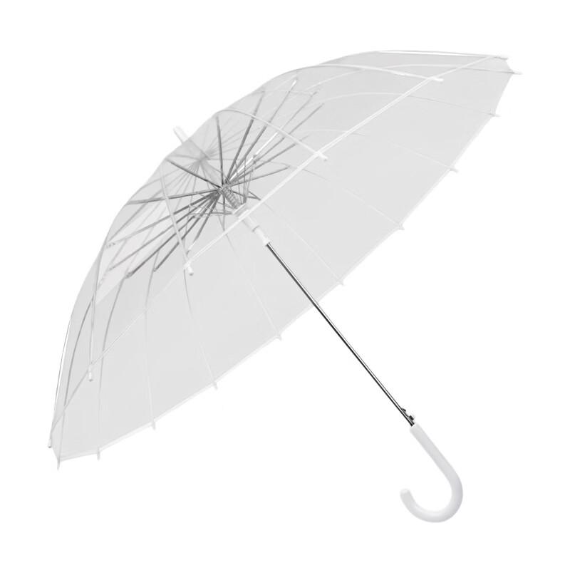 Transparent Umbrella