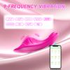 Silicone Wearable Powerful Vibrator,  Female Clitoral G-Spot Stimulation Masturbator,  Couples Adult Sex Toys, Sexy Sex Toys 18+