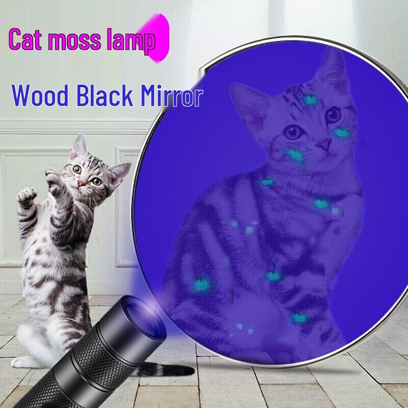 Professional 365nm UV Inspection Flashlight