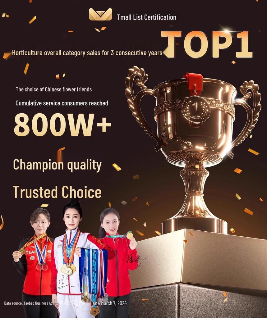 Expandable Bamboo Fence Panel for Outdoor Patio and Garden – Anti-Corrosion Support Pole for Landscaping and Partitioning.