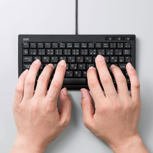Sanwa Supply Mini & Slim USB Keyboard Pantograph No Numeric Keypad Black SKB-SL28BK