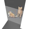 Pet Barrier: Retractable Anti-Cat Run-Out & Dog Gate Fence