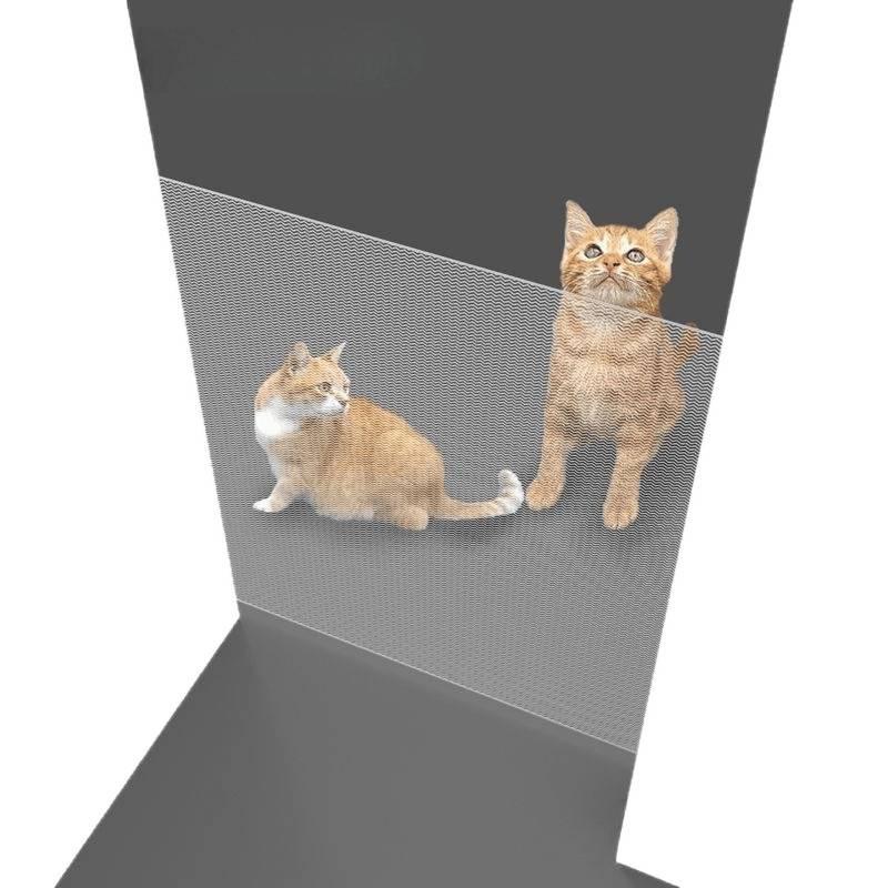 Pet Barrier: Retractable Anti-Cat Run-Out & Dog Gate Fence