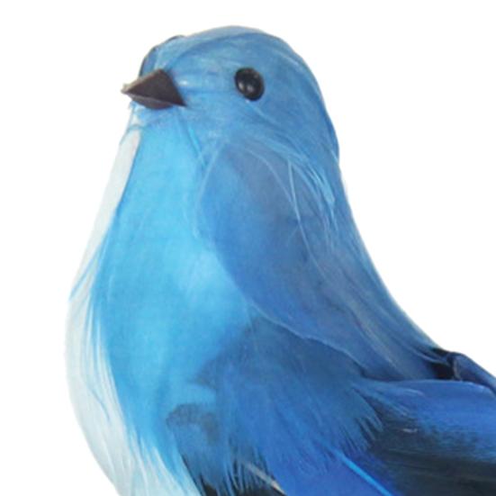 Artificial Bird Three-dimensional Eyes Long Tail Realistic Colorful Fake Animal Bird Garden Prop Decoration for Home