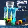 Cross-Border Science Experiment Water Garden Magic Stone DIY Kit