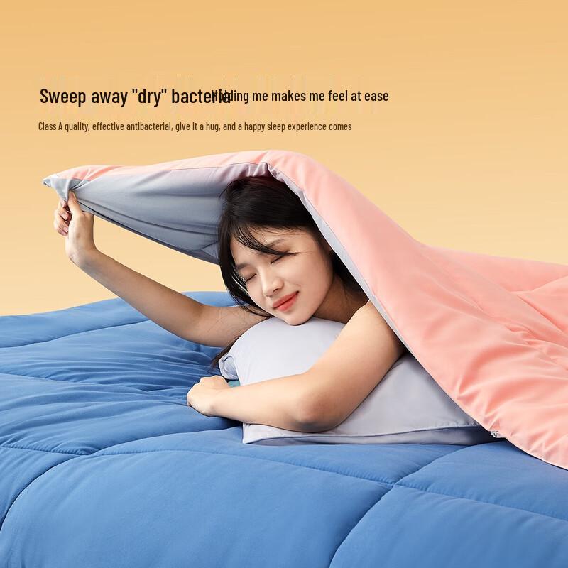 Mercury Home Textiles Winter Warm Antibacterial Fiber Quilt